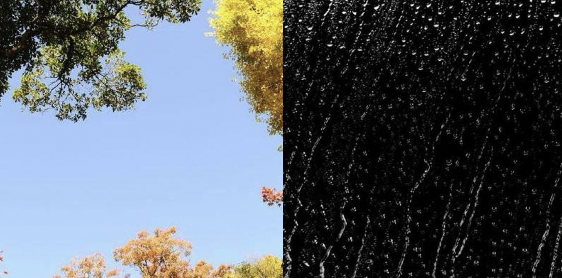 image-20240127113853959