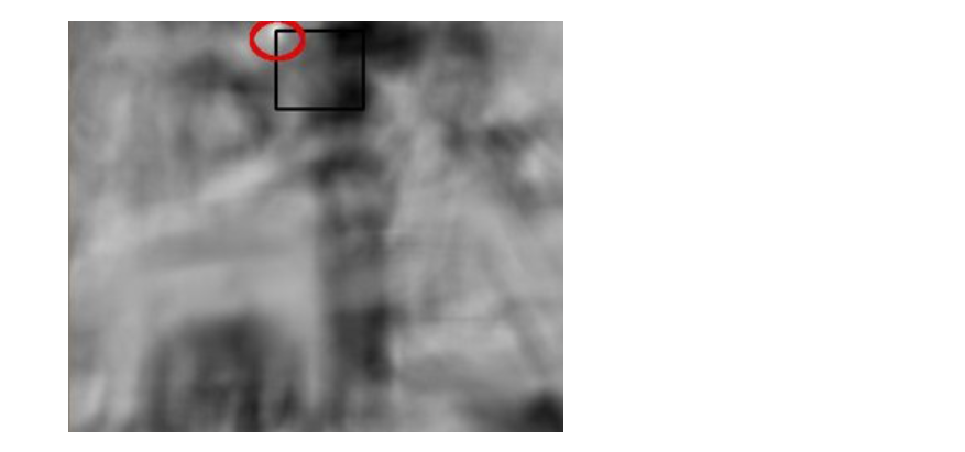 image-20240127160525277